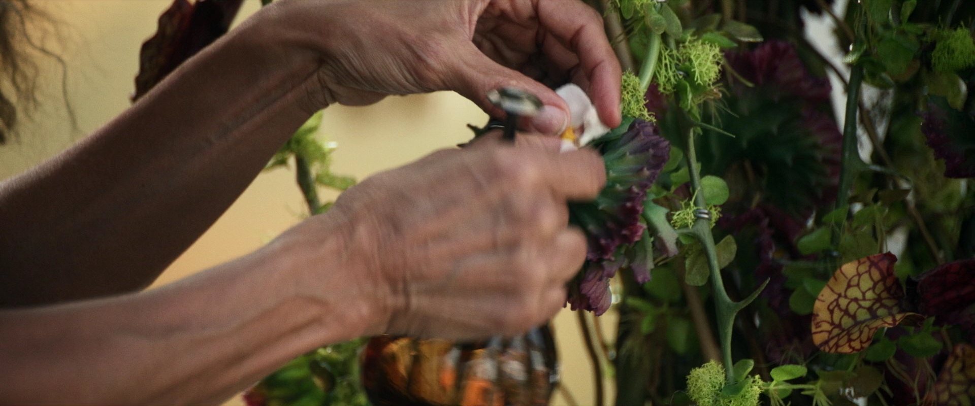 extant_StarTrek_PIC_1x03-TheEndIsTheBeginning_0949.jpg