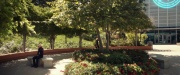 Filename=extant_StarTrek_PIC_1x03-TheEndIsTheBeginning_0695.jpg
Filesize=329KiB
Dimensions=1920x800
Date added=Feb 07, 2020 extant_StarTrek_PIC_1x03-TheEndIsTheBeginning_0695.jpg