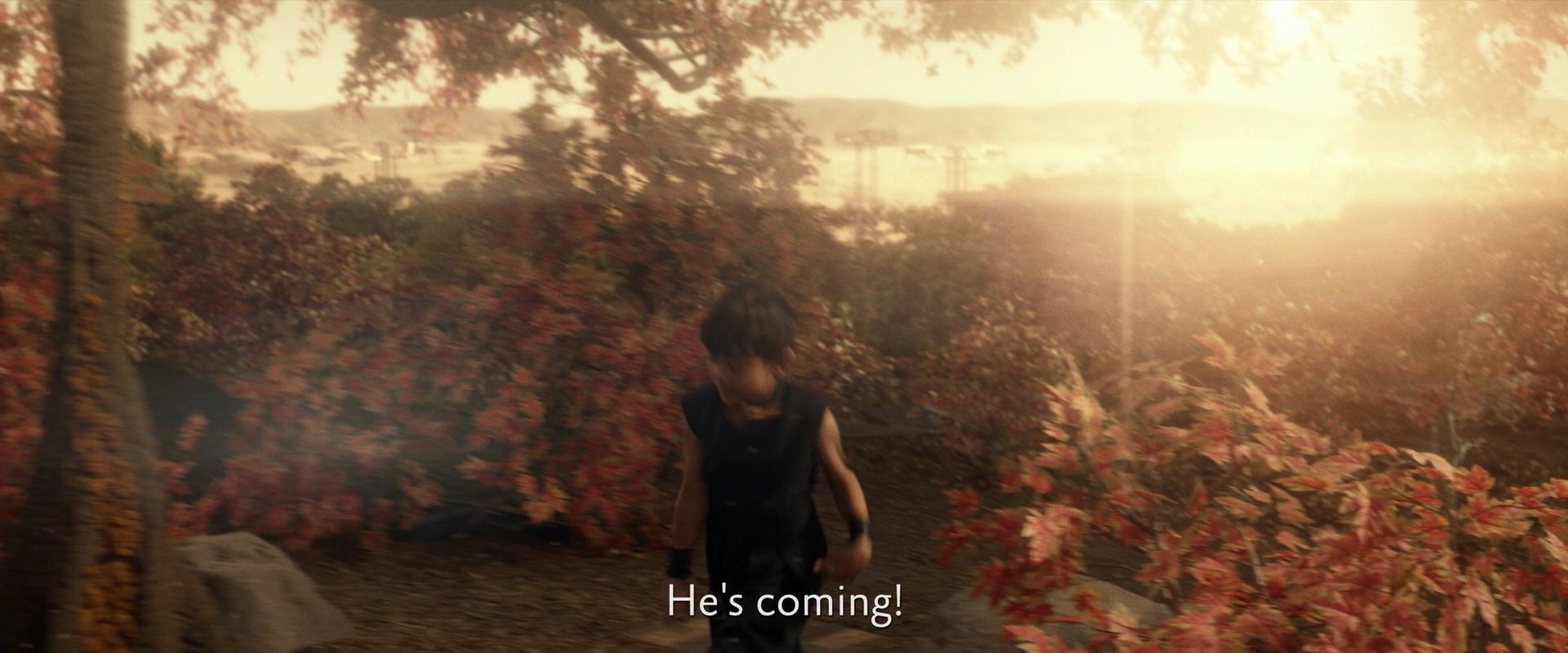 extant_StarTrek_PIC_1x04-AbsoluteCandor_0272.jpg