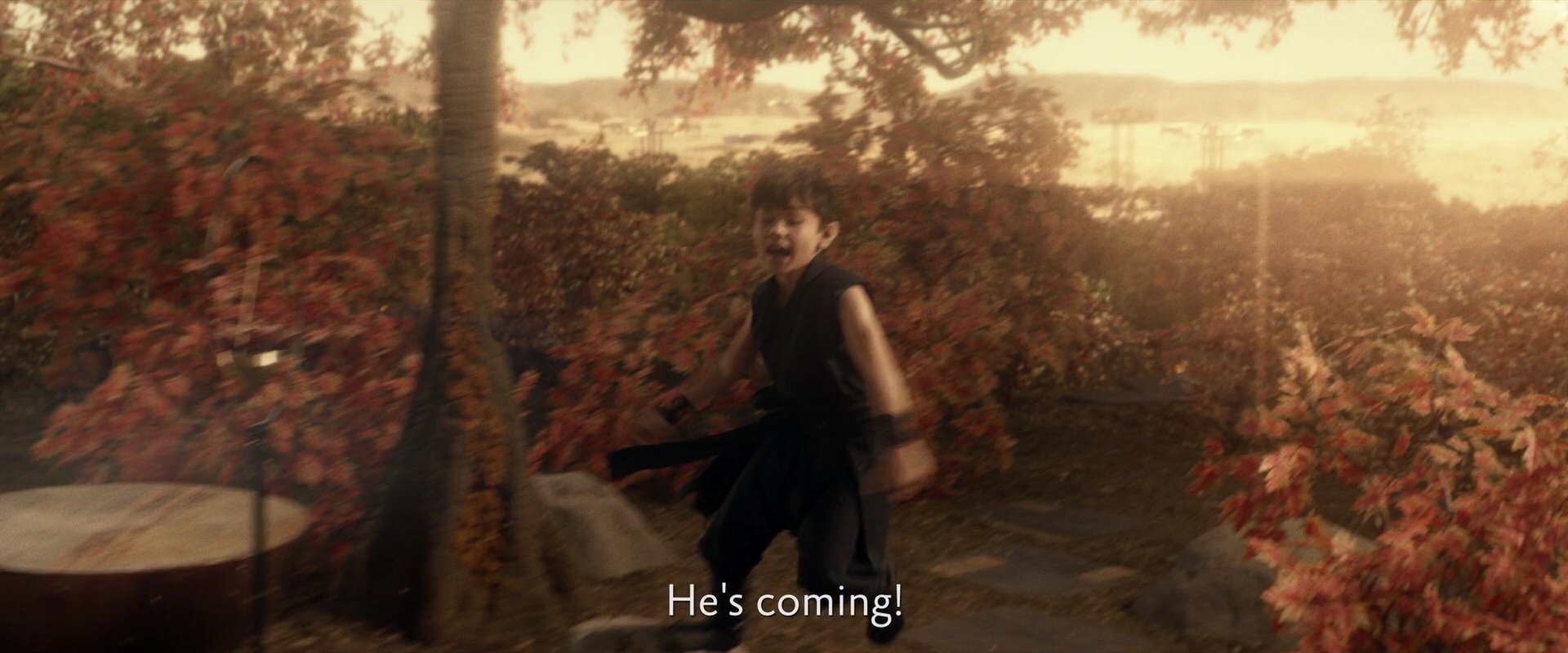 extant_StarTrek_PIC_1x04-AbsoluteCandor_0273.jpg