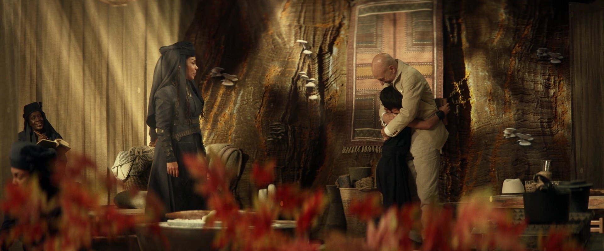 extant_StarTrek_PIC_1x04-AbsoluteCandor_0333.jpg