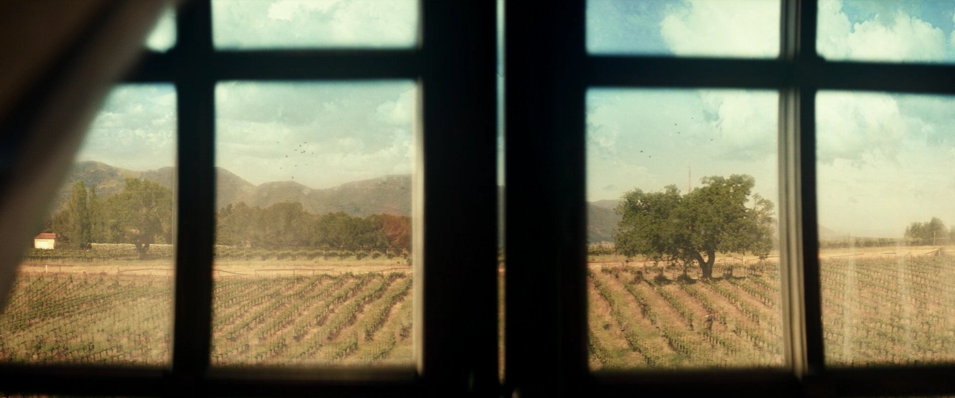 extant_StarTrek_PIC_1x04-AbsoluteCandor_1137.jpg