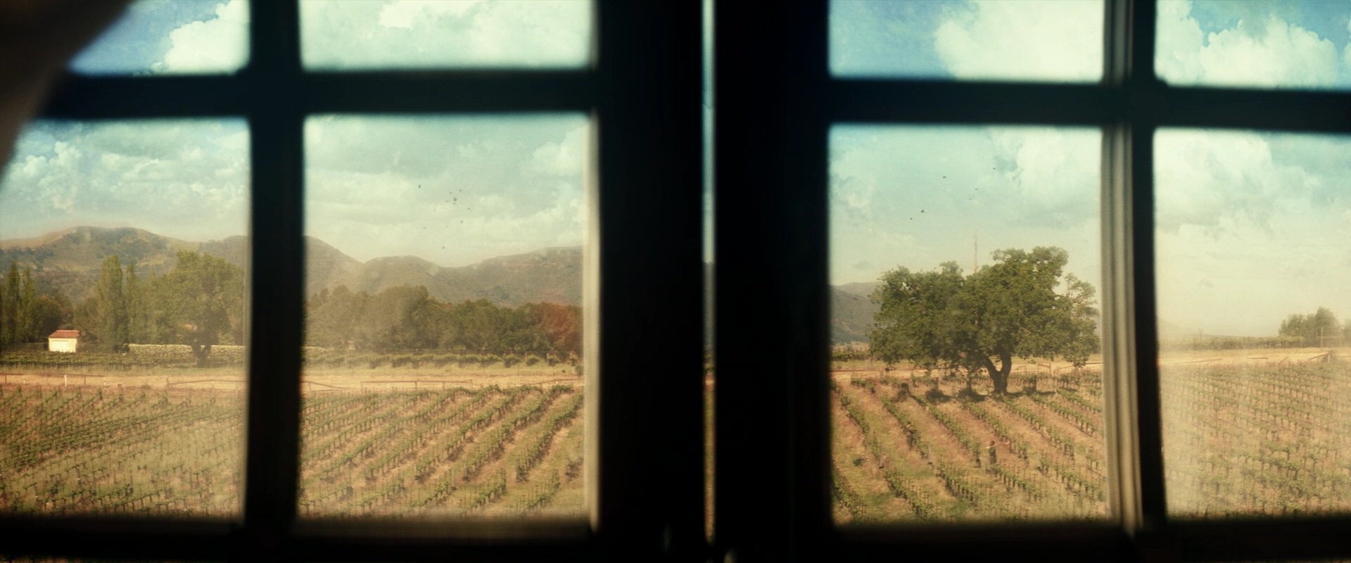 extant_StarTrek_PIC_1x04-AbsoluteCandor_1138.jpg