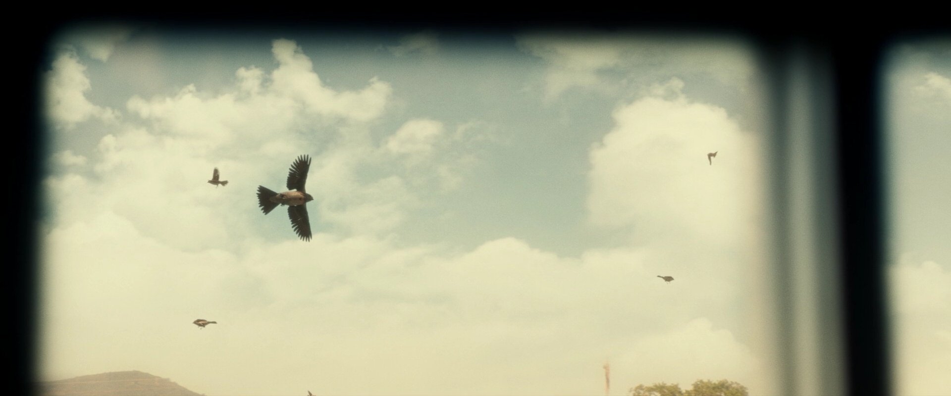 extant_StarTrek_PIC_1x04-AbsoluteCandor_1153.jpg