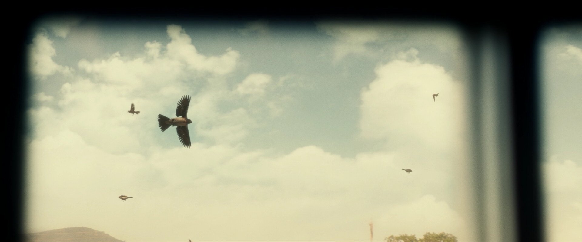 extant_StarTrek_PIC_1x04-AbsoluteCandor_1154.jpg
