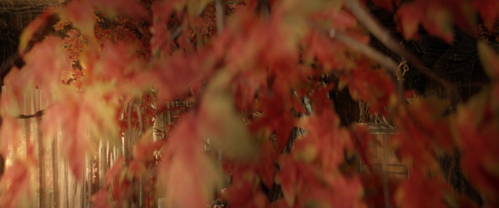 extant_StarTrek_PIC_1x04-AbsoluteCandor_2792.jpg