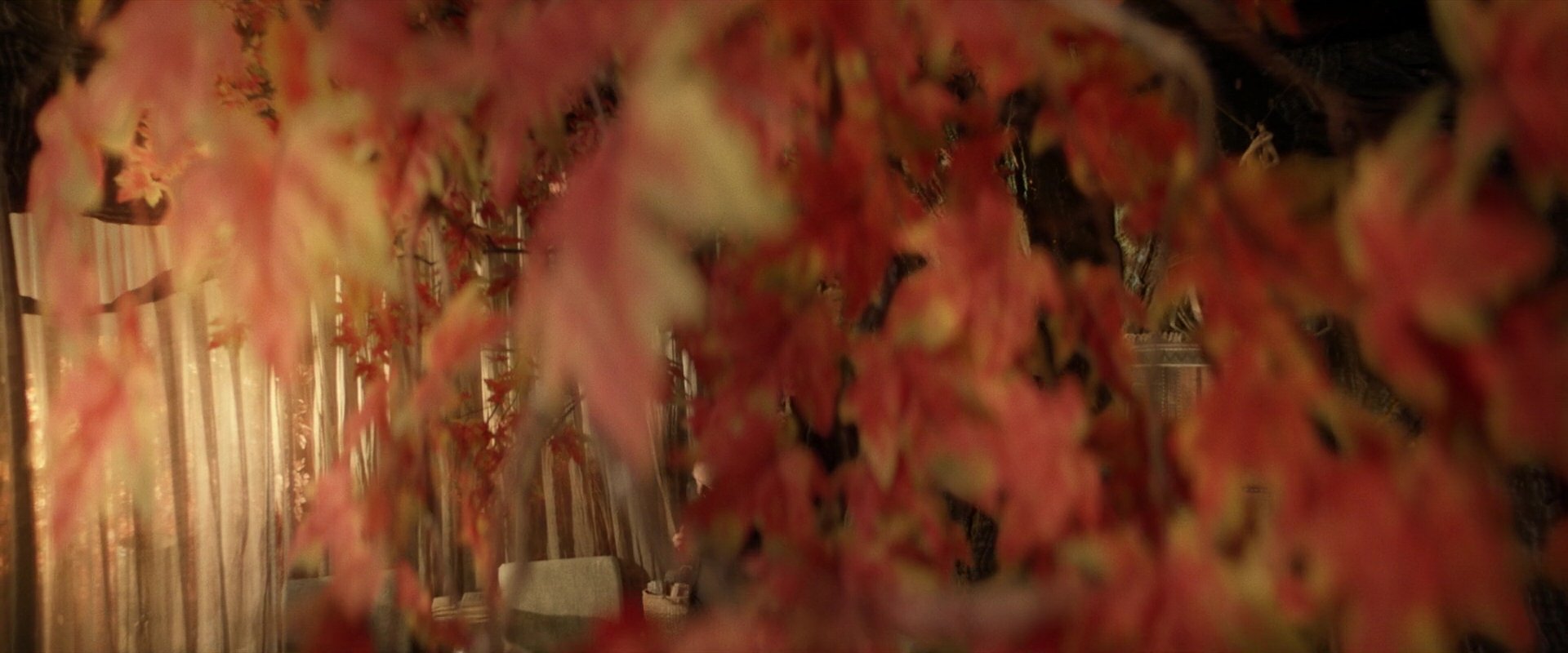 extant_StarTrek_PIC_1x04-AbsoluteCandor_2793.jpg