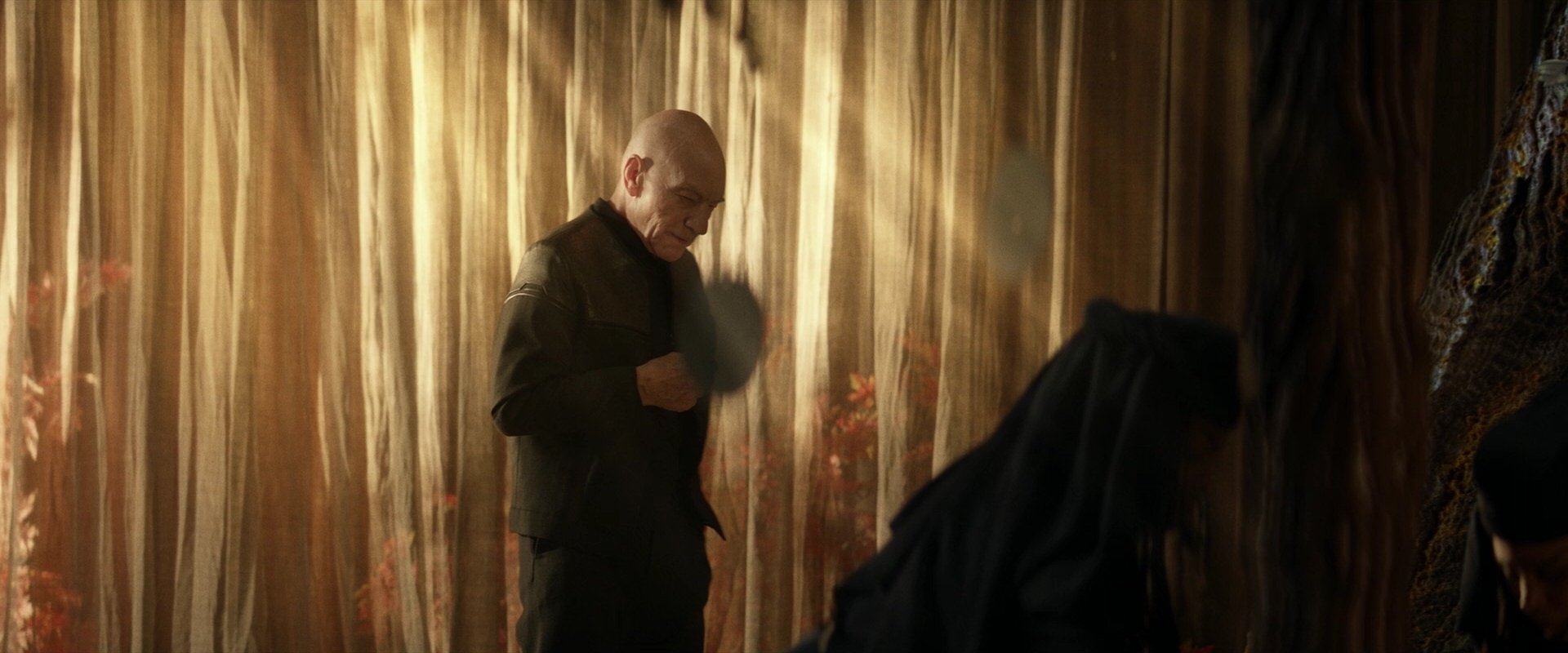 extant_StarTrek_PIC_1x04-AbsoluteCandor_2810.jpg