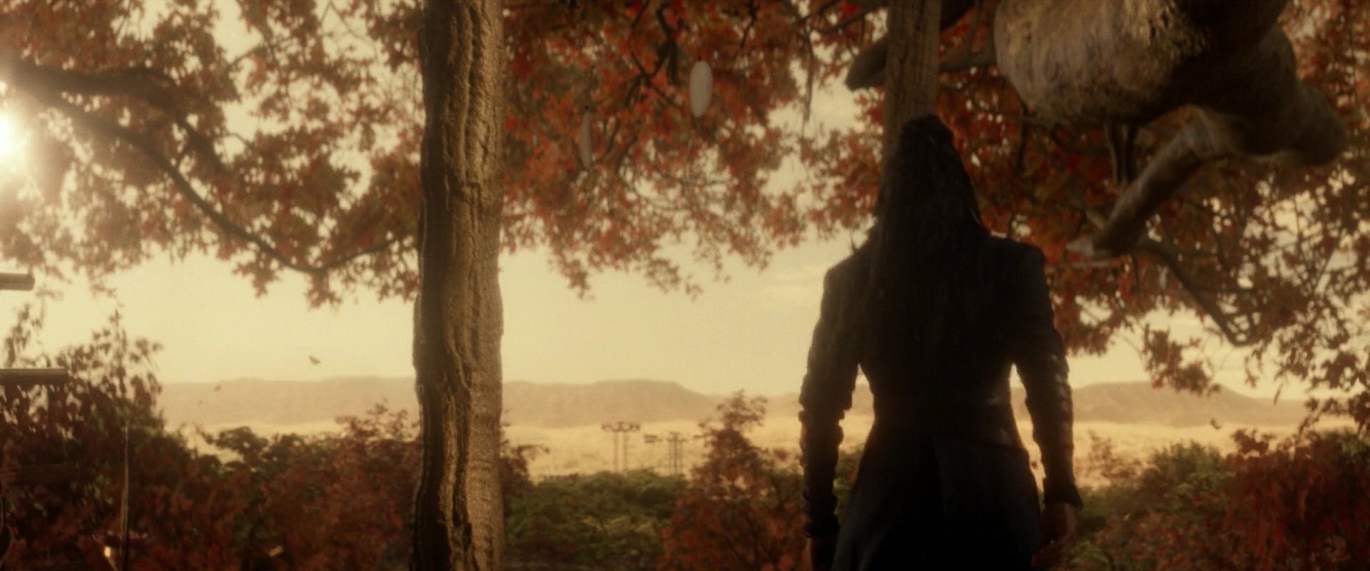 extant_StarTrek_PIC_1x04-AbsoluteCandor_2907.jpg