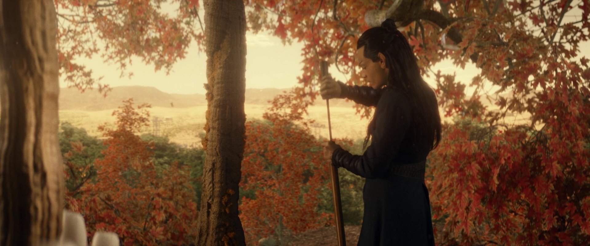 extant_StarTrek_PIC_1x04-AbsoluteCandor_3044.jpg