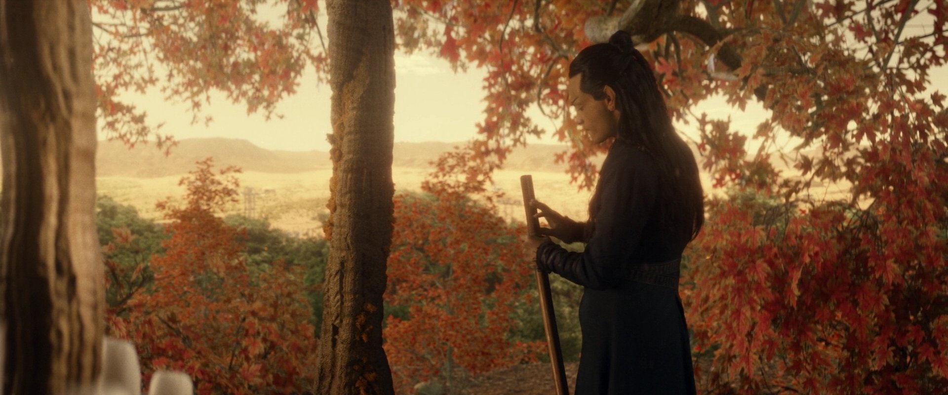 extant_StarTrek_PIC_1x04-AbsoluteCandor_3046.jpg