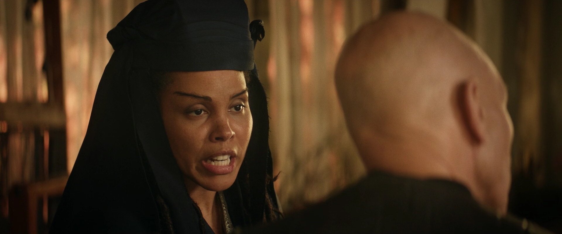 extant_StarTrek_PIC_1x04-AbsoluteCandor_3047.jpg