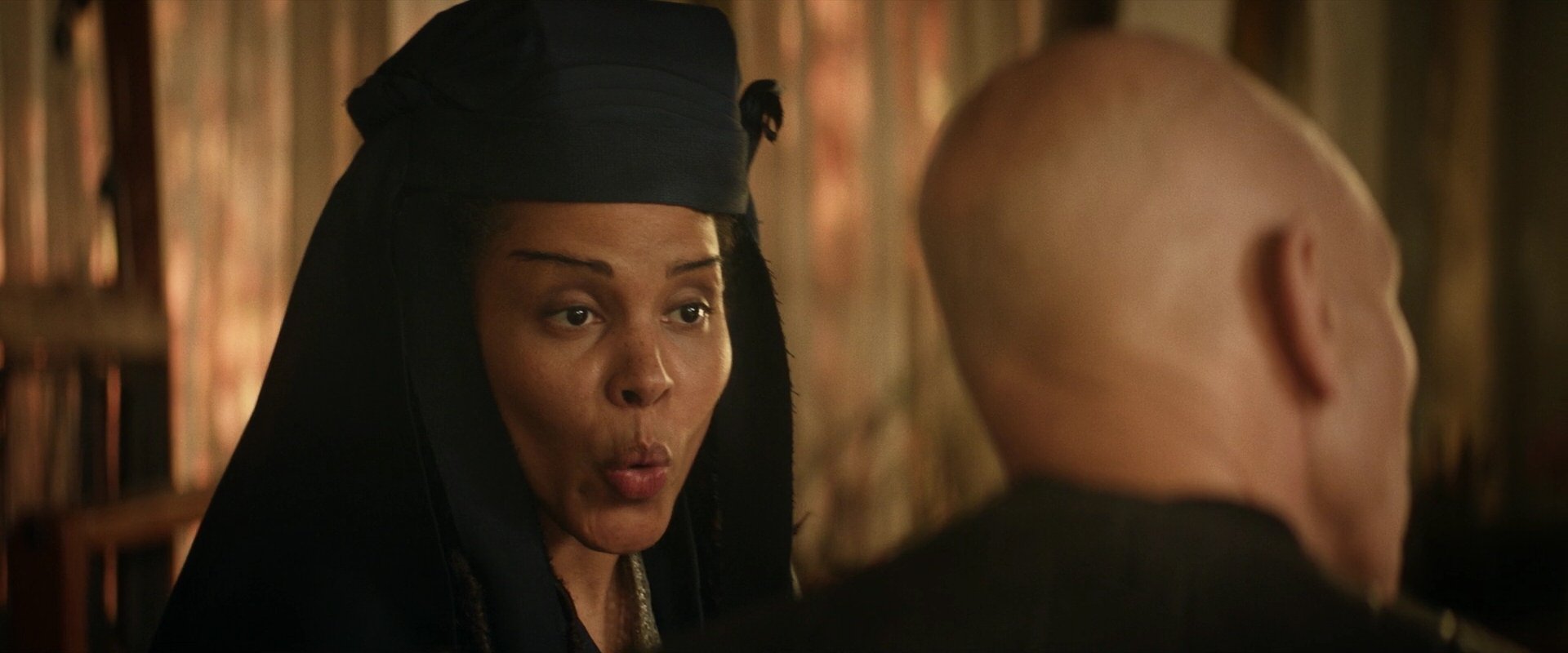 extant_StarTrek_PIC_1x04-AbsoluteCandor_3048.jpg