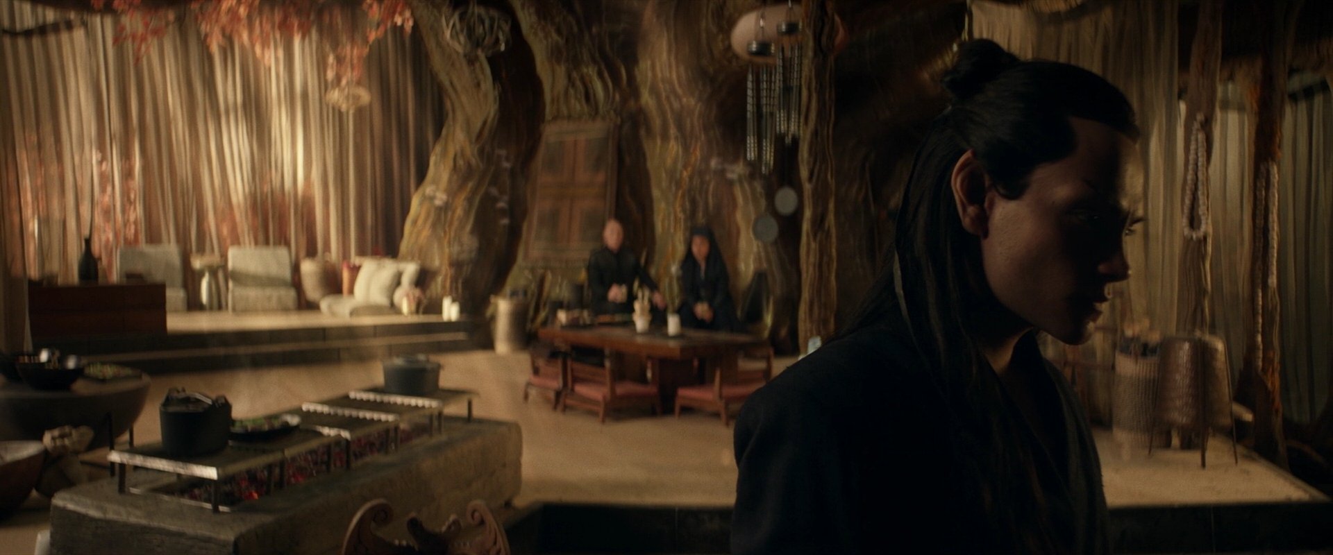 extant_StarTrek_PIC_1x04-AbsoluteCandor_3108.jpg