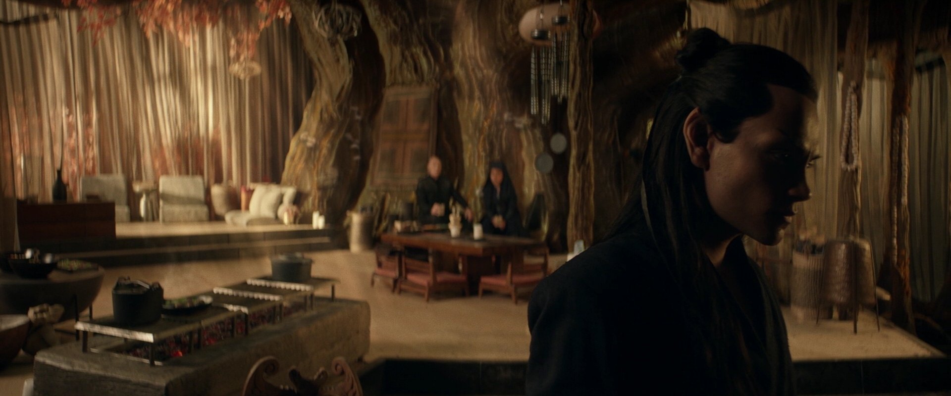 extant_StarTrek_PIC_1x04-AbsoluteCandor_3109.jpg