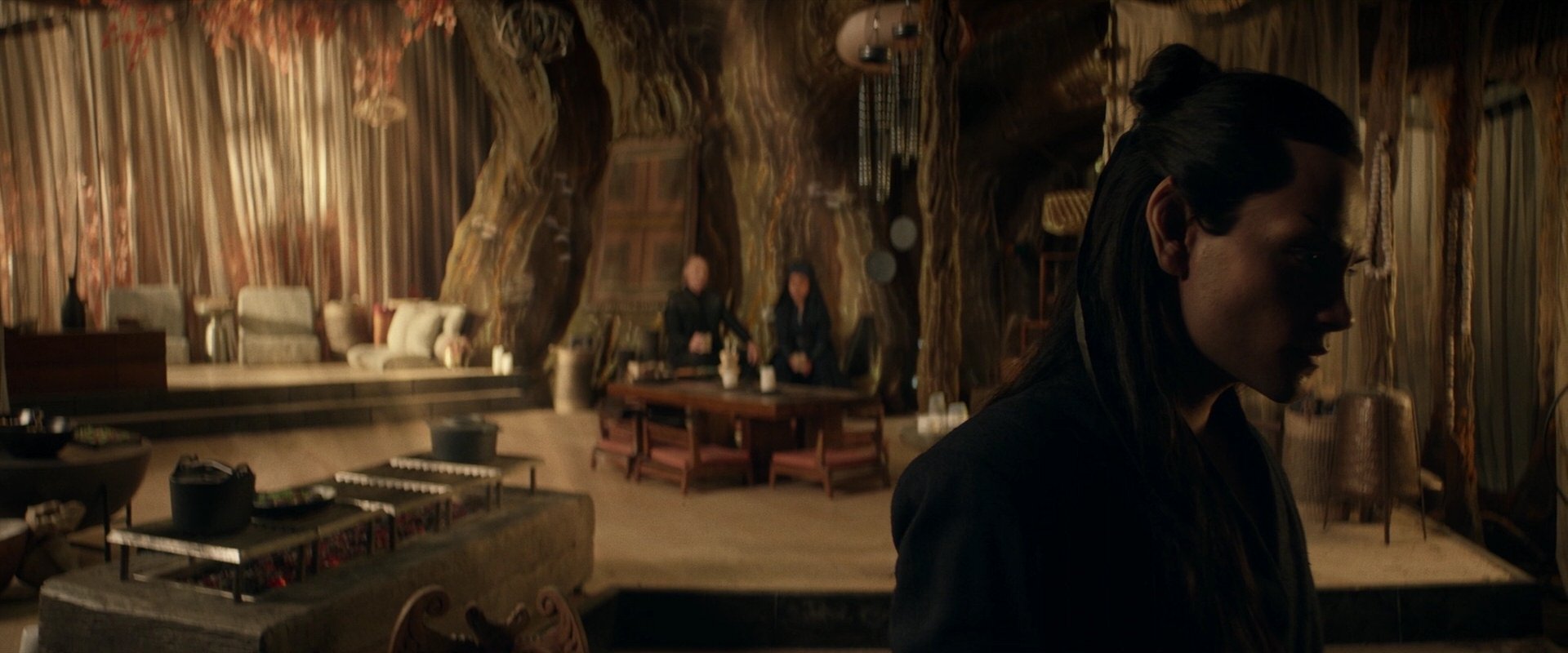 extant_StarTrek_PIC_1x04-AbsoluteCandor_3110.jpg