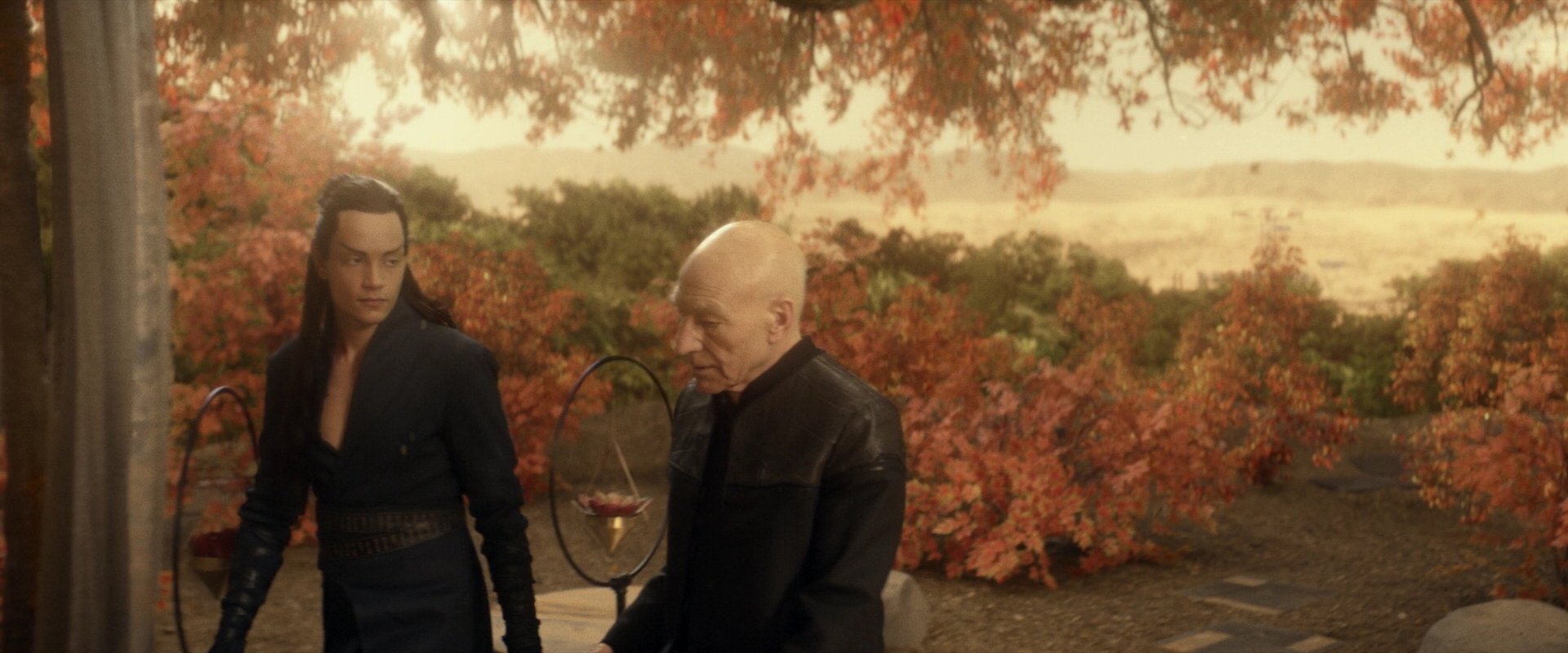 extant_StarTrek_PIC_1x04-AbsoluteCandor_3129.jpg