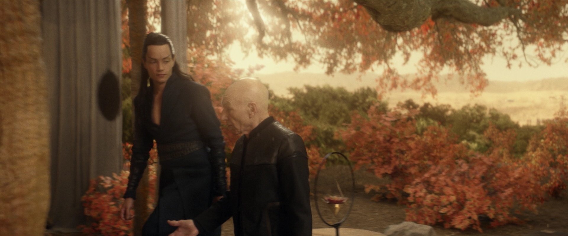 extant_StarTrek_PIC_1x04-AbsoluteCandor_3131.jpg