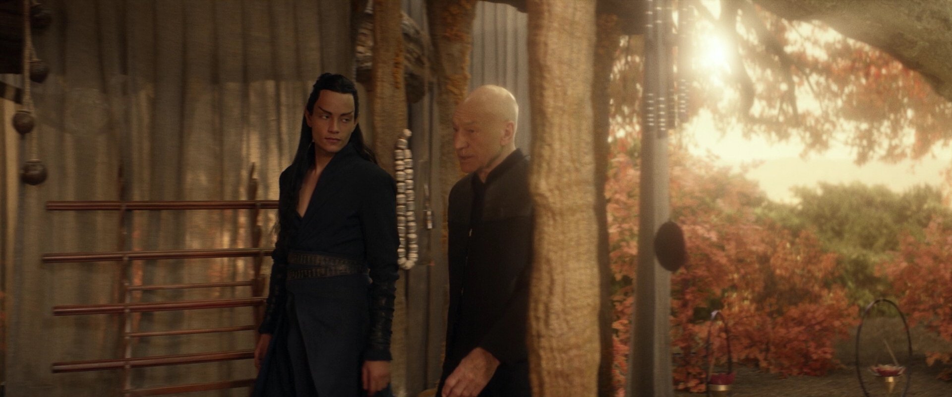 extant_StarTrek_PIC_1x04-AbsoluteCandor_3135.jpg