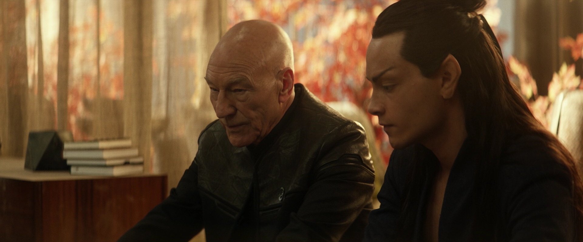 extant_StarTrek_PIC_1x04-AbsoluteCandor_3176.jpg