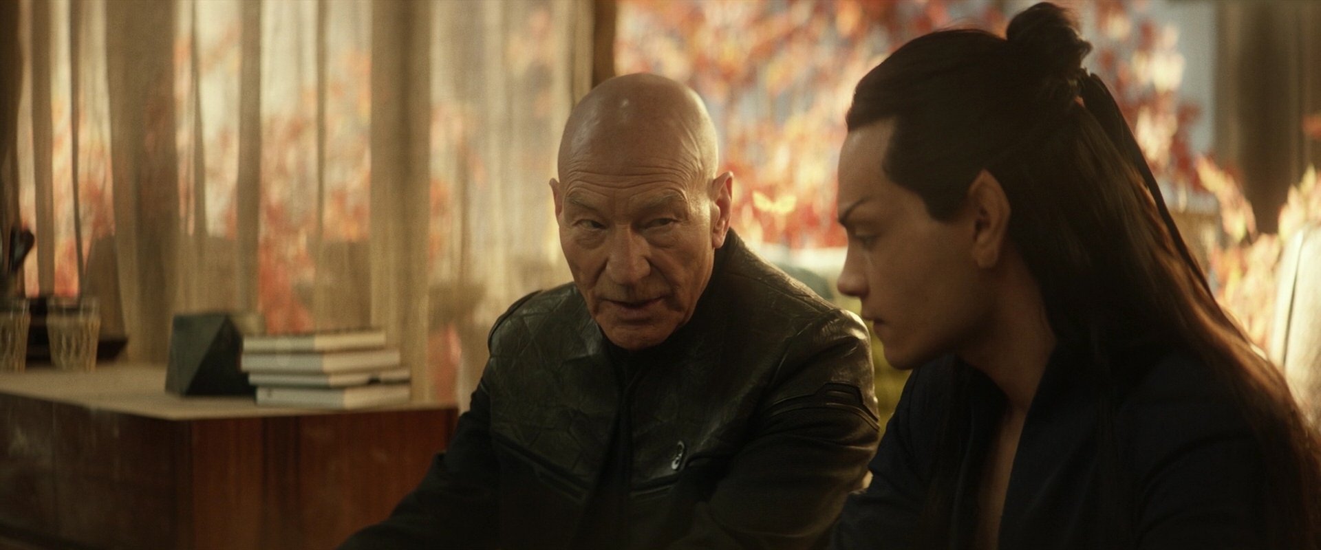 extant_StarTrek_PIC_1x04-AbsoluteCandor_3223.jpg