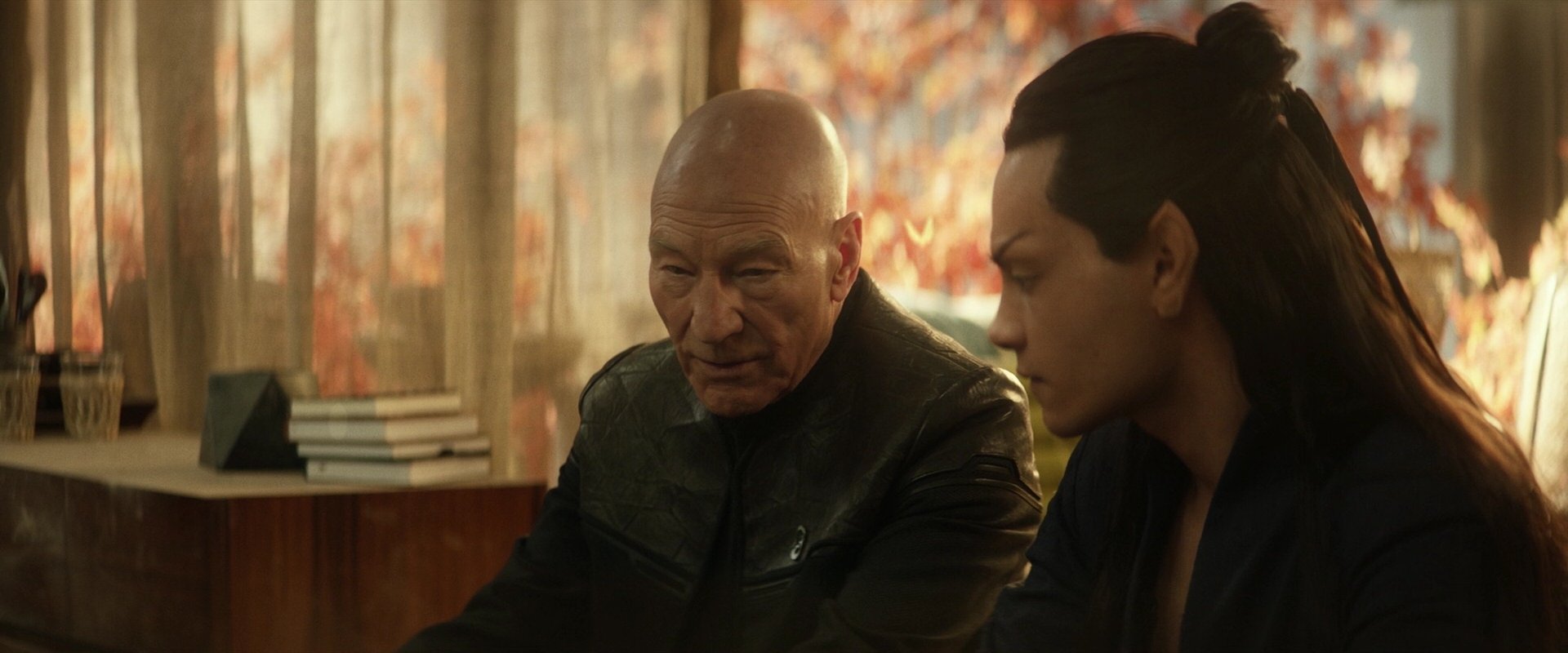 extant_StarTrek_PIC_1x04-AbsoluteCandor_3224.jpg