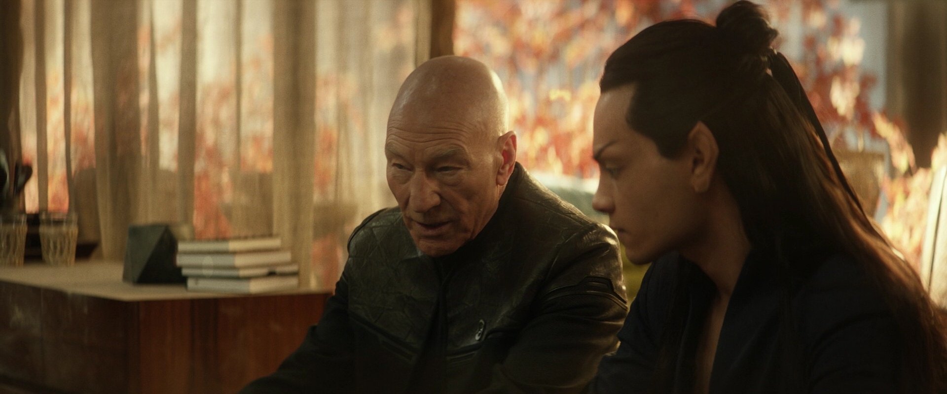 extant_StarTrek_PIC_1x04-AbsoluteCandor_3225.jpg