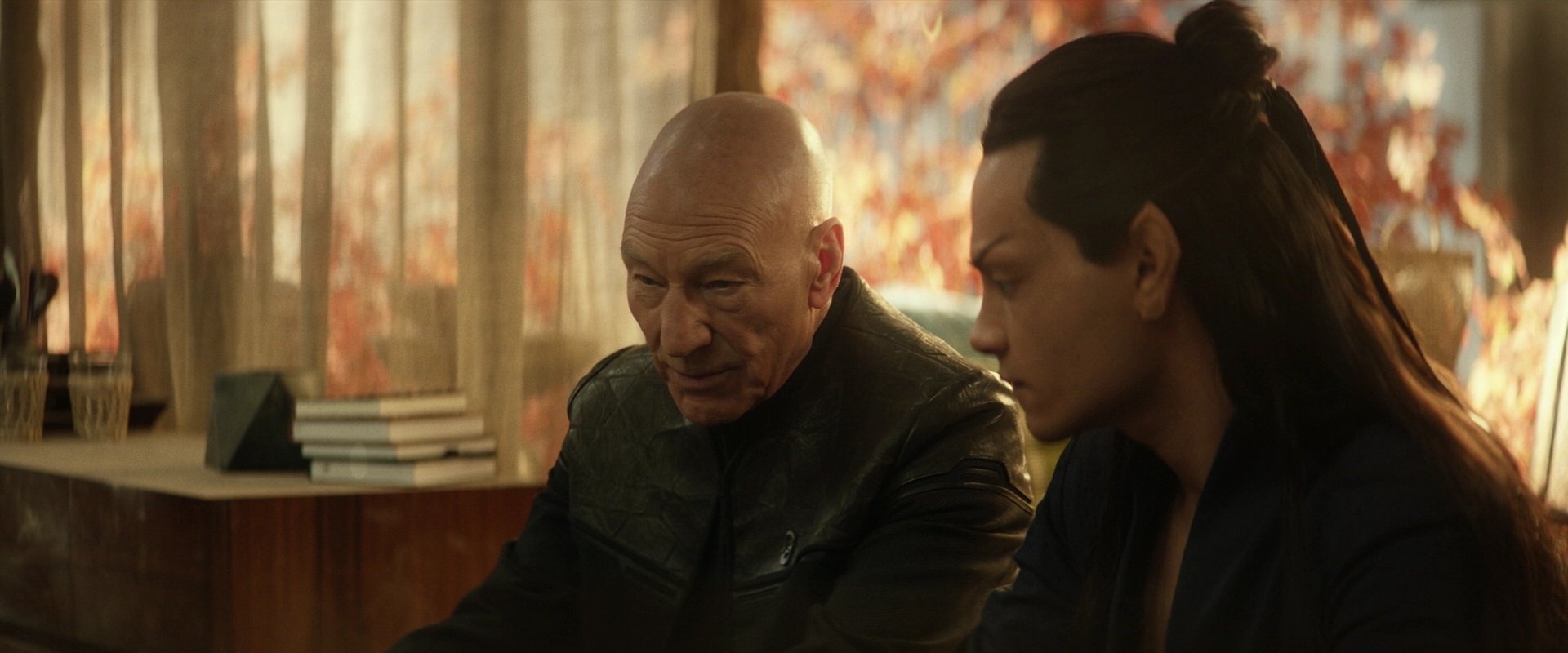 extant_StarTrek_PIC_1x04-AbsoluteCandor_3226.jpg
