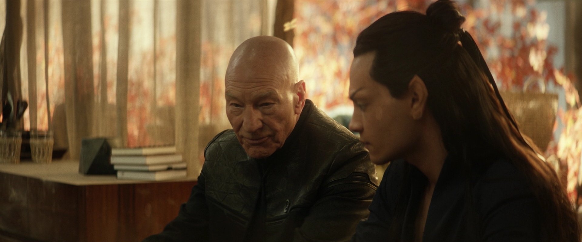extant_StarTrek_PIC_1x04-AbsoluteCandor_3230.jpg