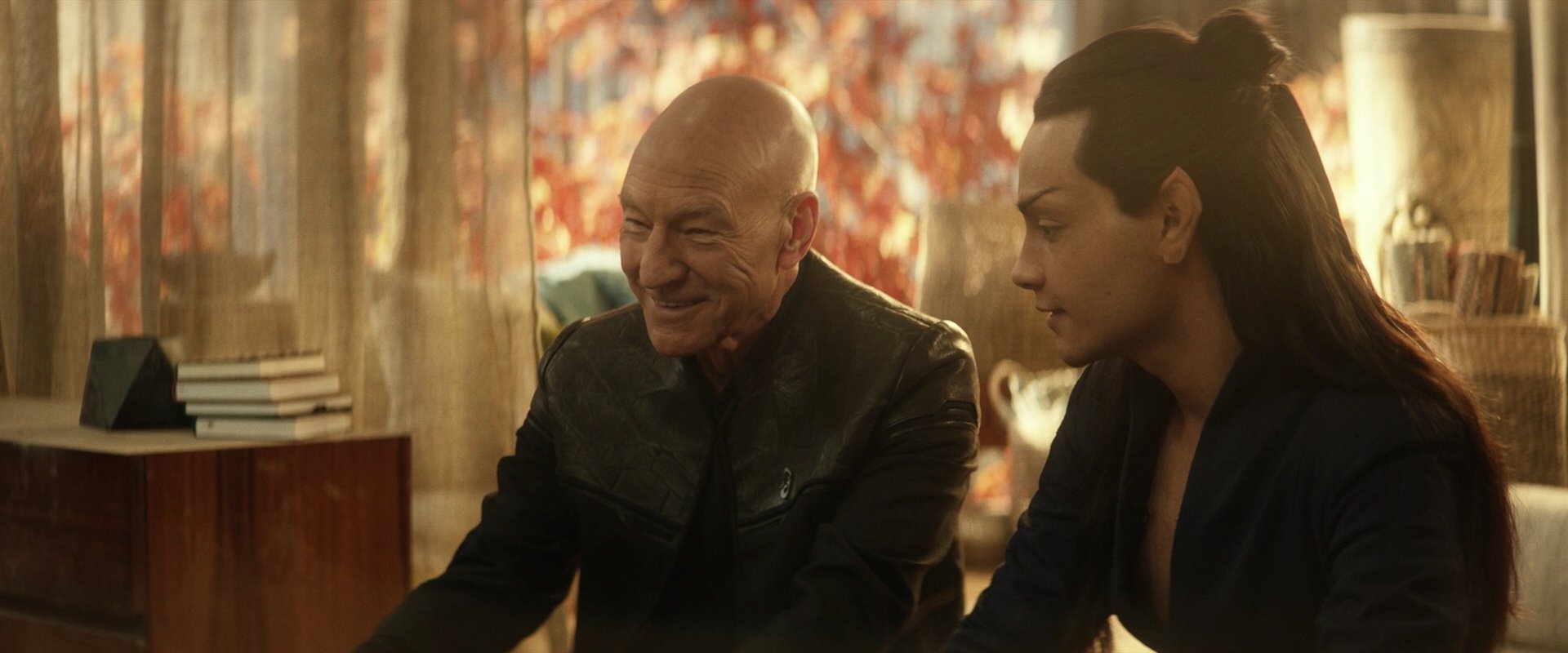 extant_StarTrek_PIC_1x04-AbsoluteCandor_3258.jpg