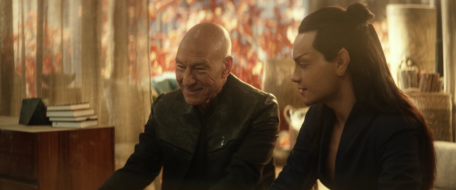 extant_StarTrek_PIC_1x04-AbsoluteCandor_3260.jpg