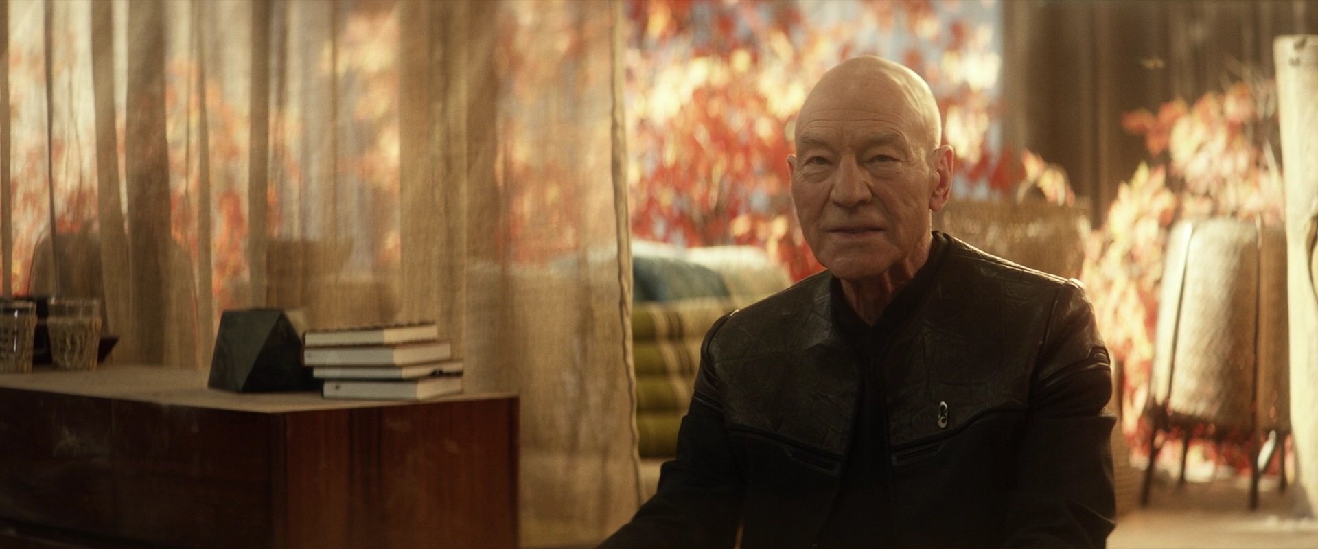extant_StarTrek_PIC_1x04-AbsoluteCandor_3387.jpg