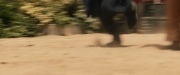 Filename=extant_StarTrek_PIC_1x04-AbsoluteCandor_0199.jpg
Filesize=124KiB
Dimensions=1920x800
Date added=Feb 13, 2020 extant_StarTrek_PIC_1x04-AbsoluteCandor_0199.jpg