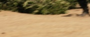 Filename=extant_StarTrek_PIC_1x04-AbsoluteCandor_0200.jpg
Filesize=129KiB
Dimensions=1920x800
Date added=Feb 13, 2020 extant_StarTrek_PIC_1x04-AbsoluteCandor_0200.jpg