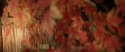 Filename=extant_StarTrek_PIC_1x04-AbsoluteCandor_2793.jpg
Filesize=160KiB
Dimensions=1920x800
Date added=Feb 13, 2020 extant_StarTrek_PIC_1x04-AbsoluteCandor_2793.jpg