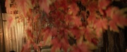 Filename=extant_StarTrek_PIC_1x04-AbsoluteCandor_2794.jpg
Filesize=172KiB
Dimensions=1920x800
Date added=Feb 13, 2020 extant_StarTrek_PIC_1x04-AbsoluteCandor_2794.jpg