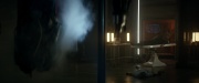 Filename=extant_StarTrek_PIC_1x05-StardustCityRag_0398.jpg
Filesize=115KiB
Dimensions=1920x800
Date added=Feb 20, 2020 extant_StarTrek_PIC_1x05-StardustCityRag_0398.jpg