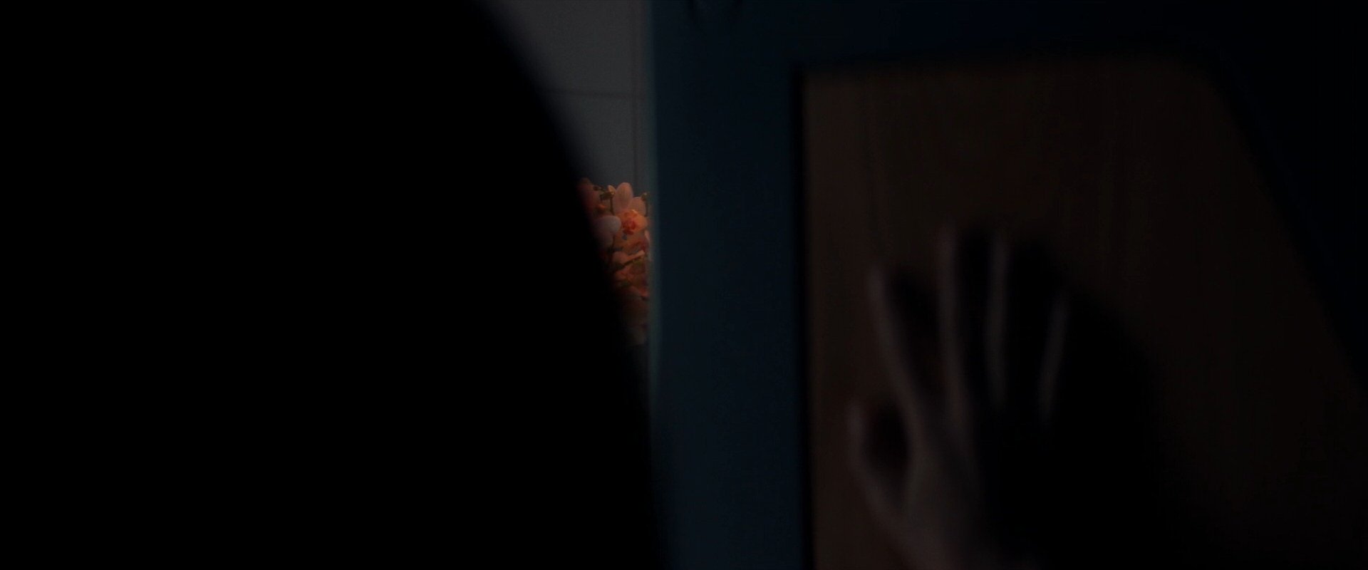 extant_StarTrek_PIC_1x06-TheImpossibleBox_00200.jpg
