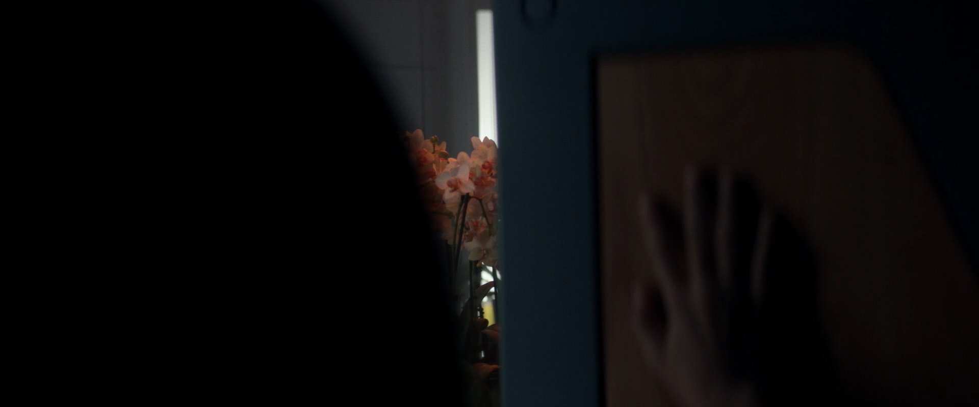 extant_StarTrek_PIC_1x06-TheImpossibleBox_00202.jpg