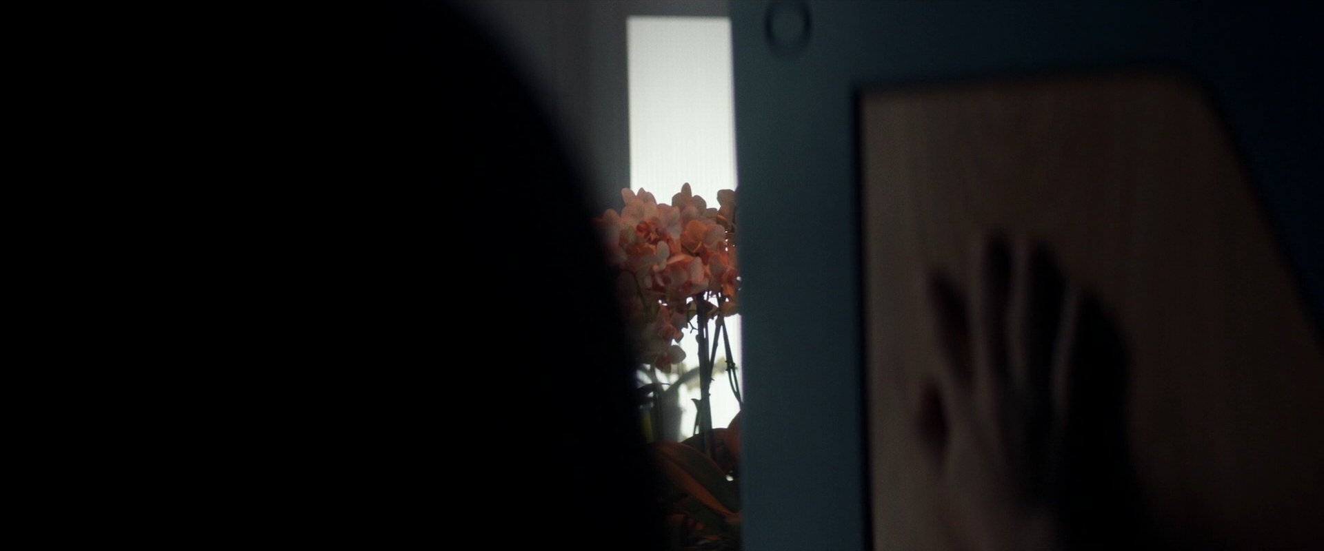 extant_StarTrek_PIC_1x06-TheImpossibleBox_00203.jpg