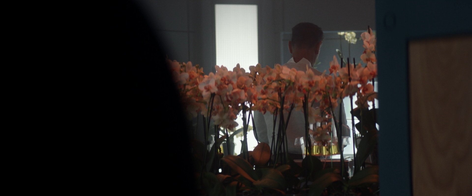 extant_StarTrek_PIC_1x06-TheImpossibleBox_00208.jpg