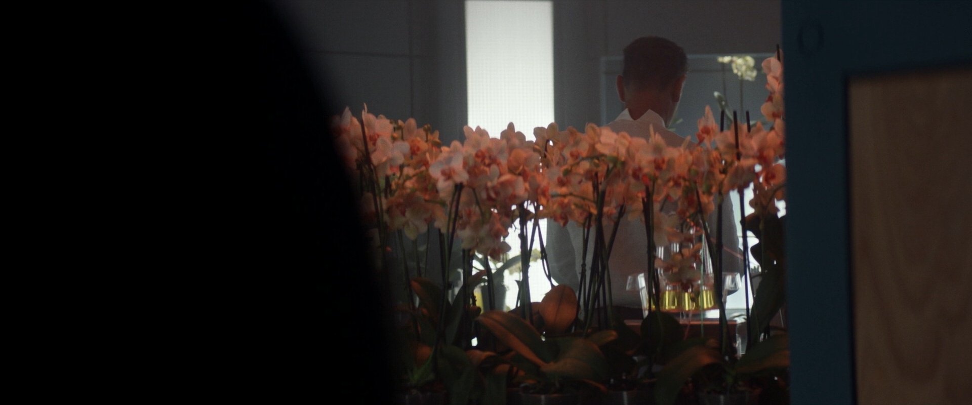 extant_StarTrek_PIC_1x06-TheImpossibleBox_00209.jpg