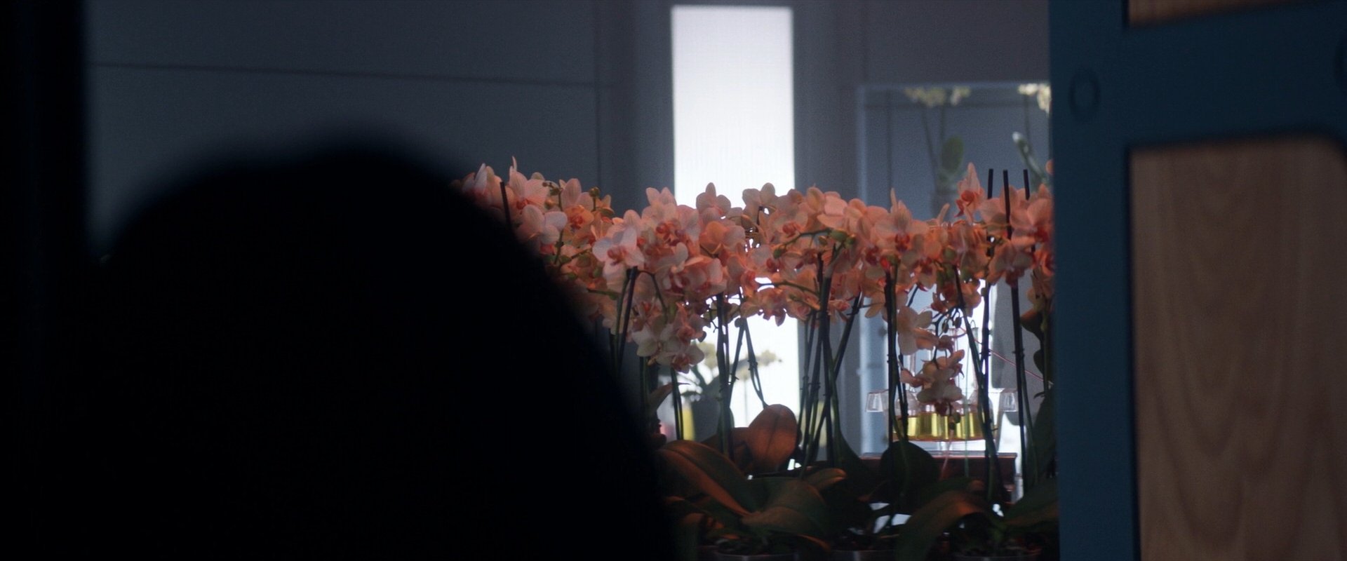 extant_StarTrek_PIC_1x06-TheImpossibleBox_00220.jpg