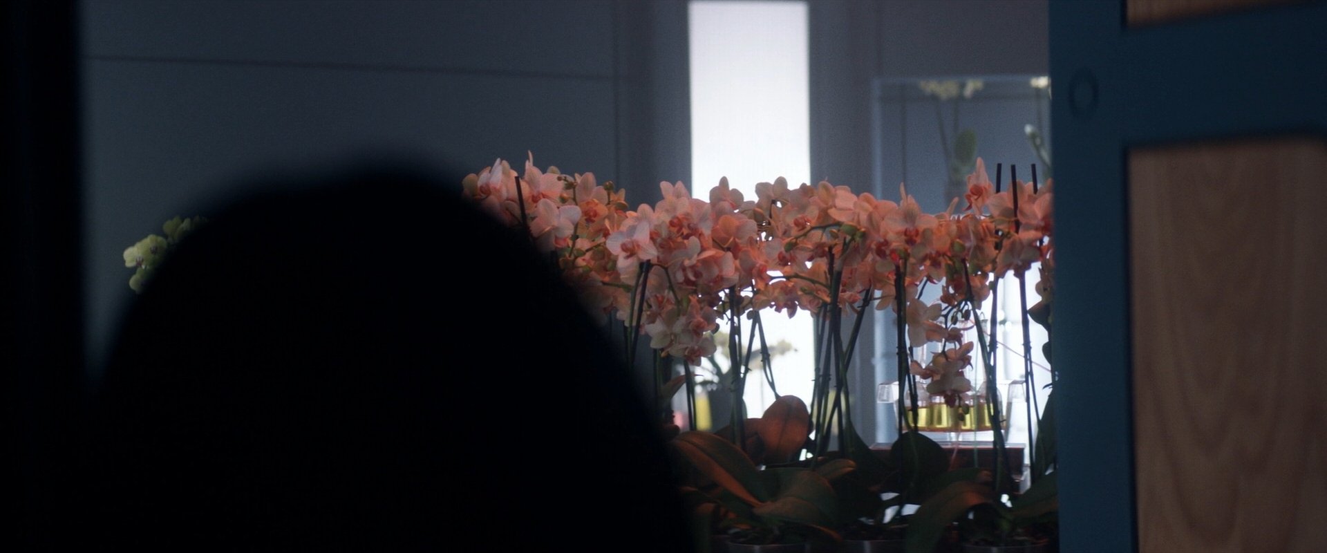 extant_StarTrek_PIC_1x06-TheImpossibleBox_00221.jpg