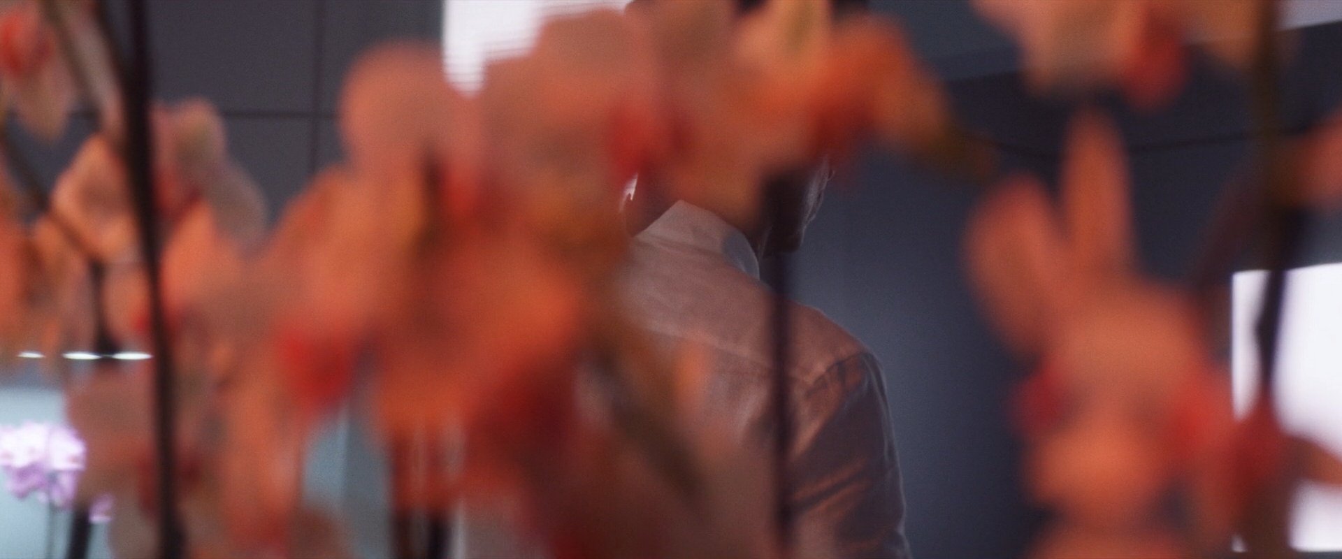 extant_StarTrek_PIC_1x06-TheImpossibleBox_00232.jpg