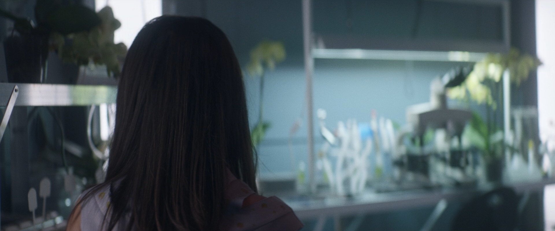 extant_StarTrek_PIC_1x06-TheImpossibleBox_00240.jpg