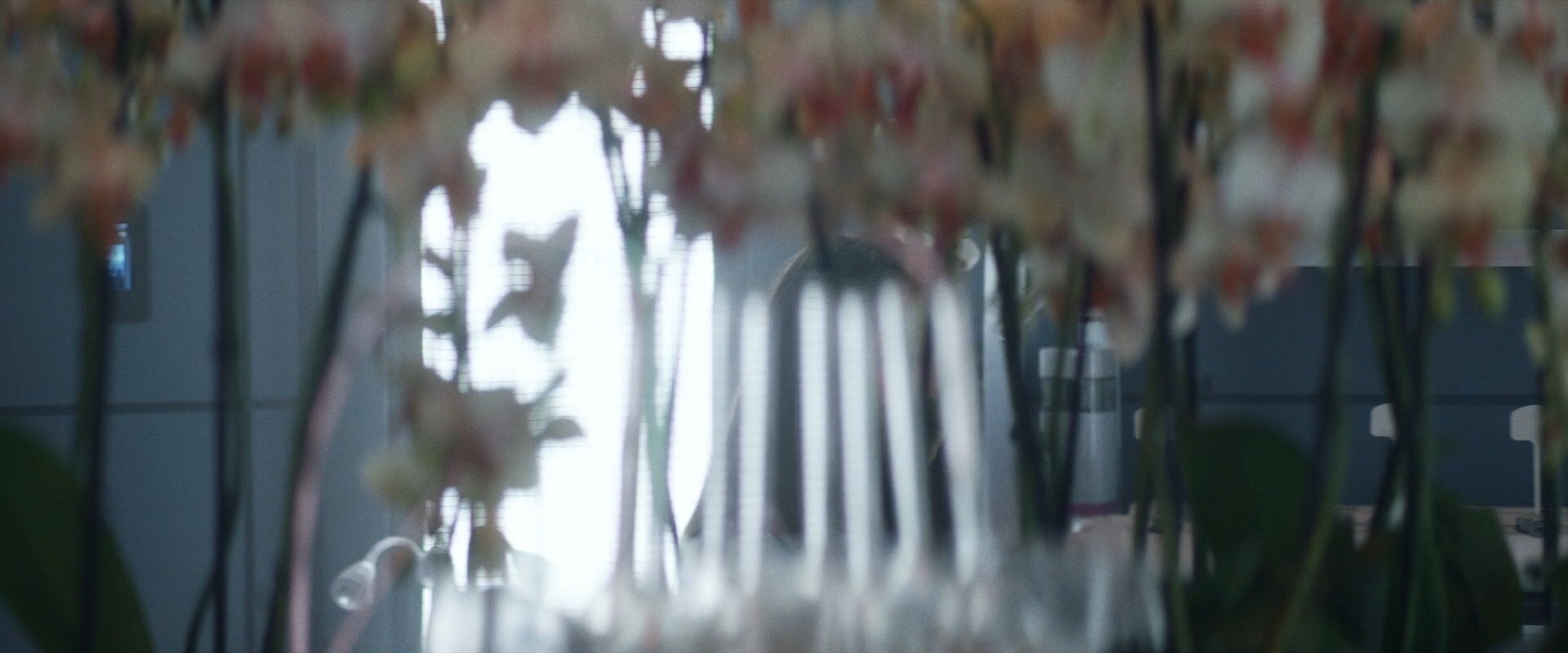 extant_StarTrek_PIC_1x06-TheImpossibleBox_00241.jpg