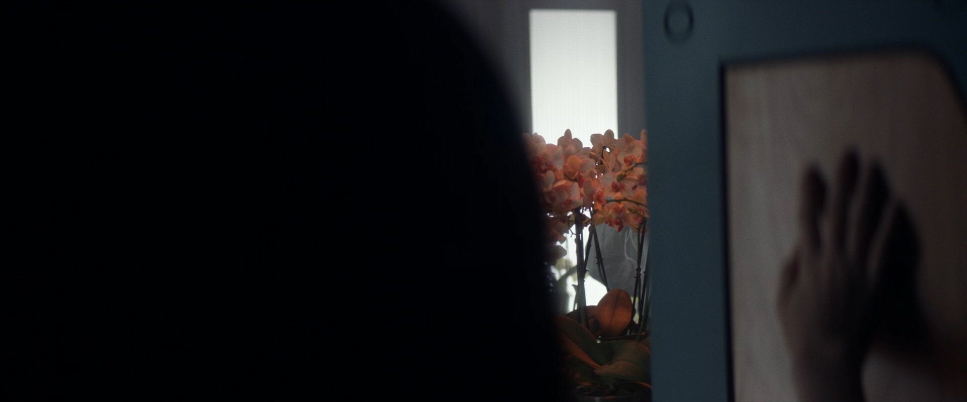 extant_StarTrek_PIC_1x06-TheImpossibleBox_05003.jpg