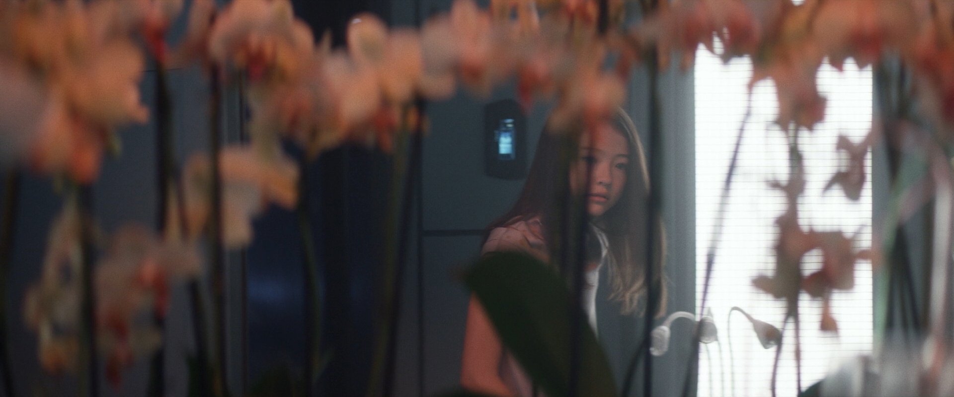 extant_StarTrek_PIC_1x06-TheImpossibleBox_05009.jpg