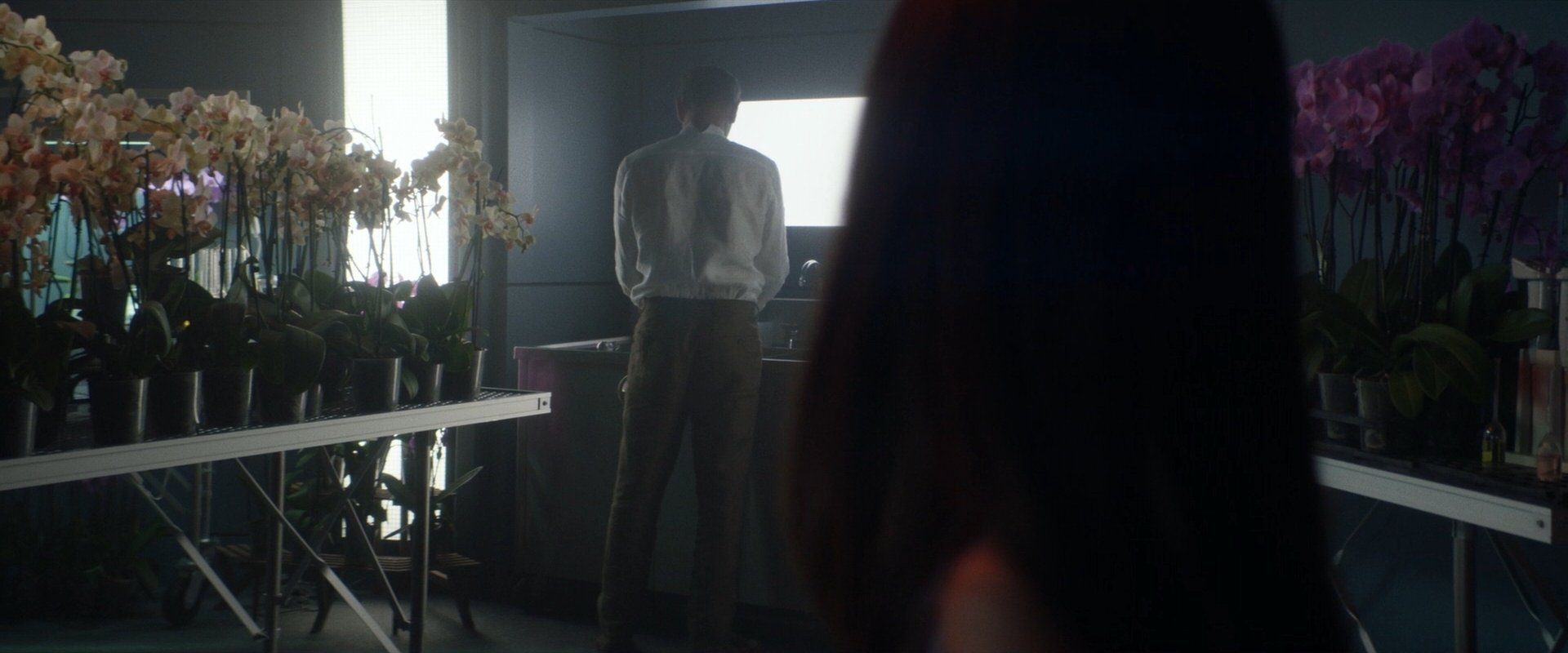 extant_StarTrek_PIC_1x06-TheImpossibleBox_05028.jpg